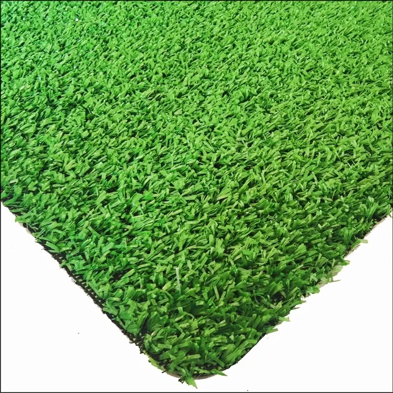 Rumput permaidani CG8