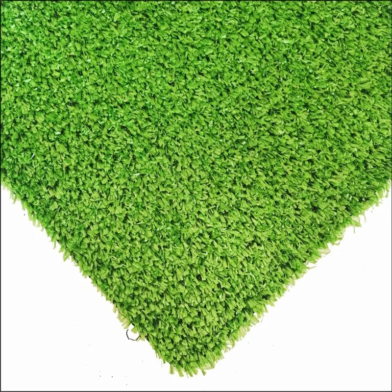 Rumput permaidani CG10