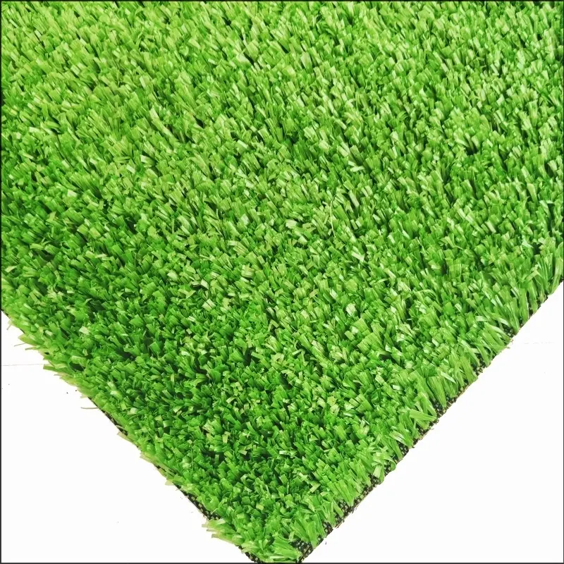 Rumput permaidani CG15