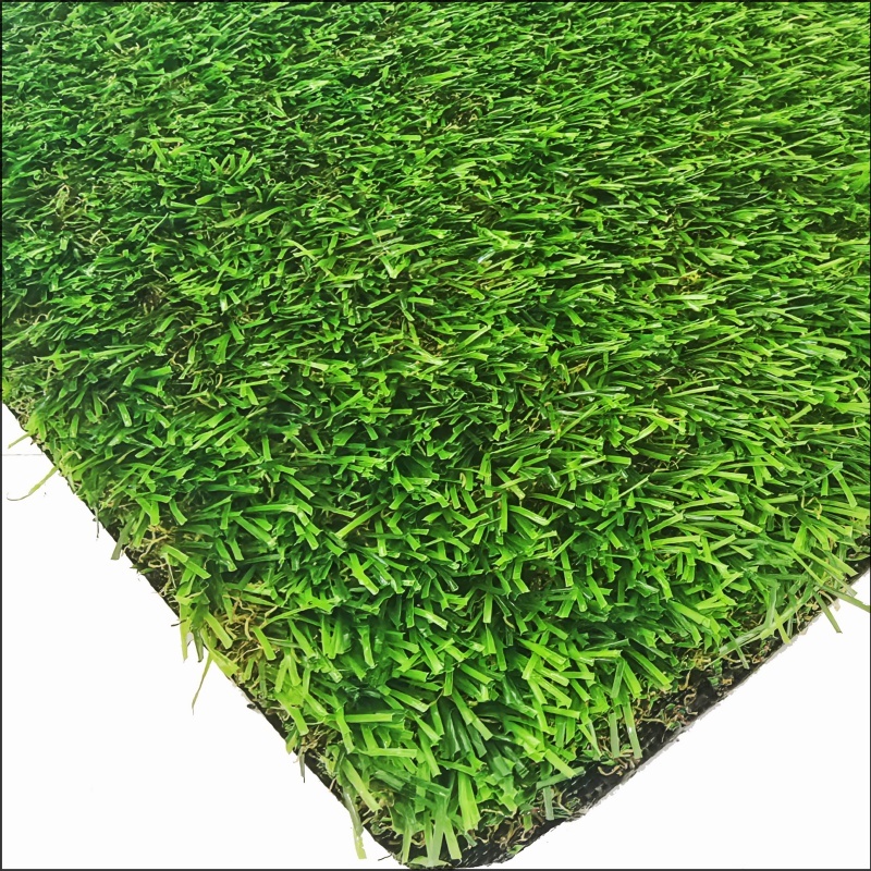 See More About Rumput Taman (GG30)
