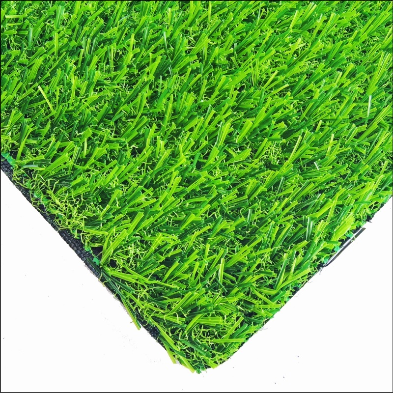 See More About Rumput Taman Permainan (PG20)