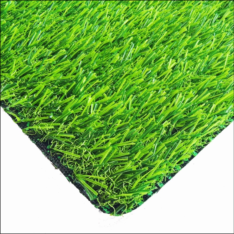 See More About Rumput Taman Permainan (PG25)