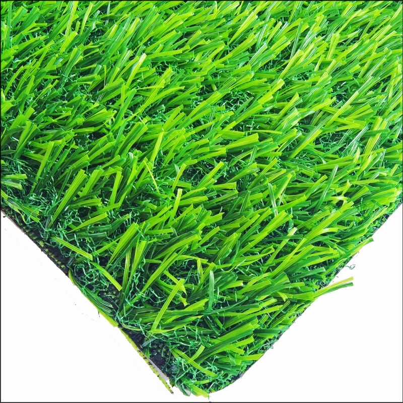 See More About Rumput Taman Permainan (PG30)